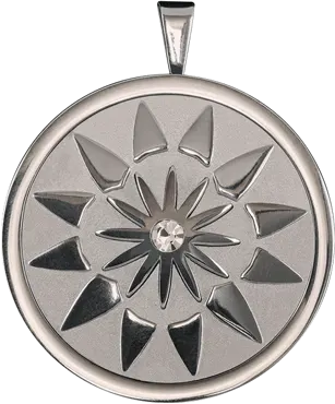 delinbioniccs zen collection medaillon chu-ya